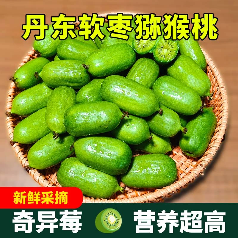 【放软在吃】软枣猕猴桃奇异莓长形龙城2号圆枣z