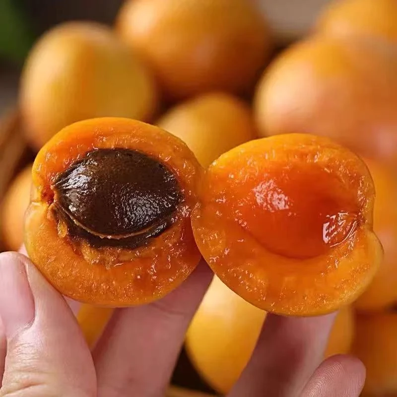 C【次日达】头茬新疆吊干杏 一杏两吃原箱发货净重3斤新鲜现摘新疆维吾尔自治区