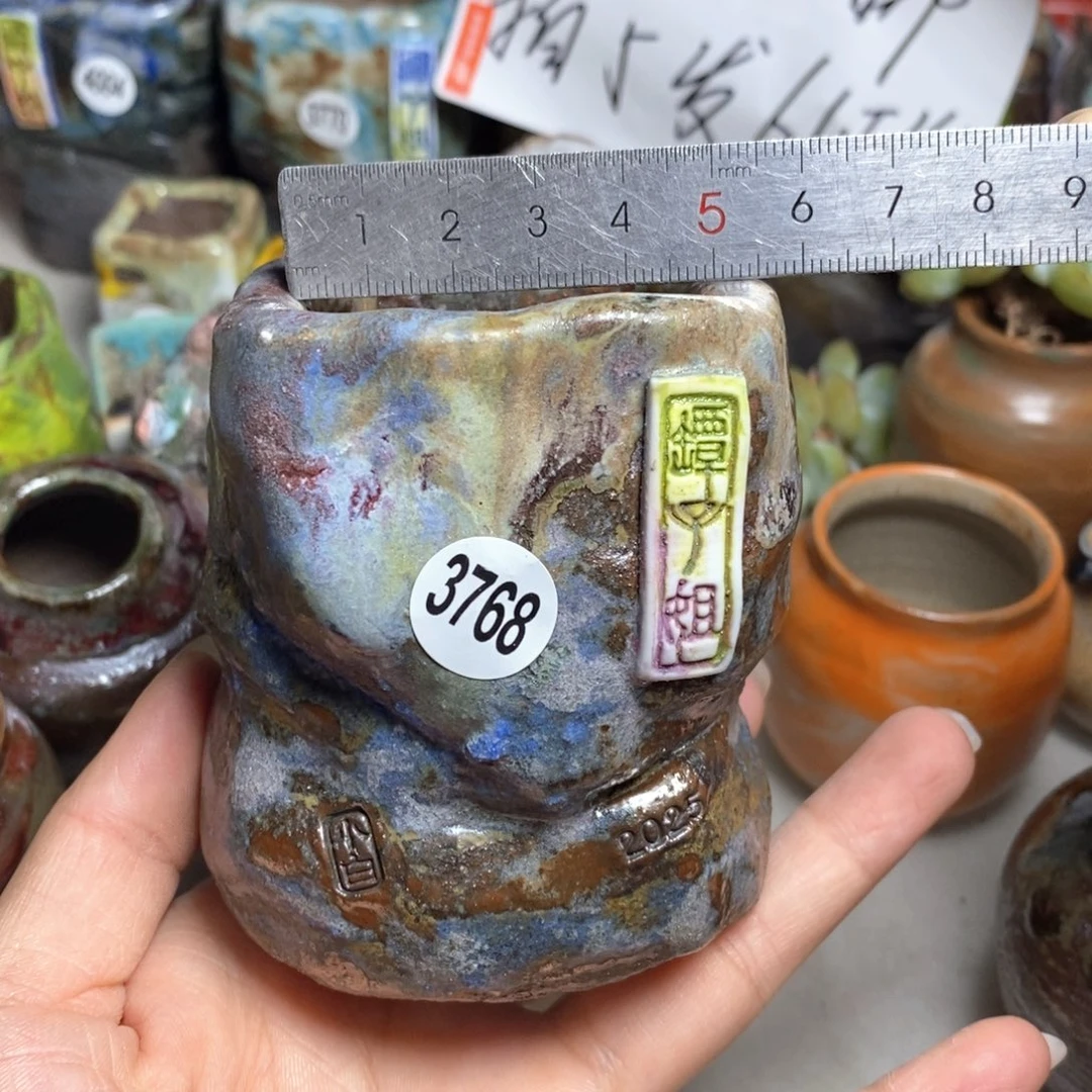 拍5送一个小礼物