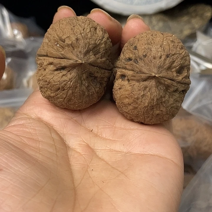文玩核桃把件云南铁核桃基地74