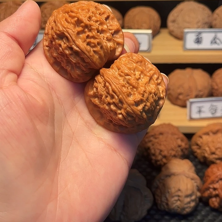 核桃42白狮子。