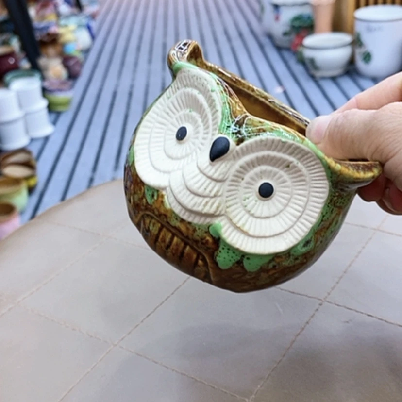 【闪购商品】福利花盆9.99包邮