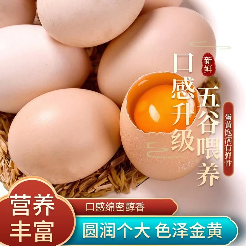 无抗富硒土鸡蛋初生蛋0激0抗新鲜健康50枚初生蛋
