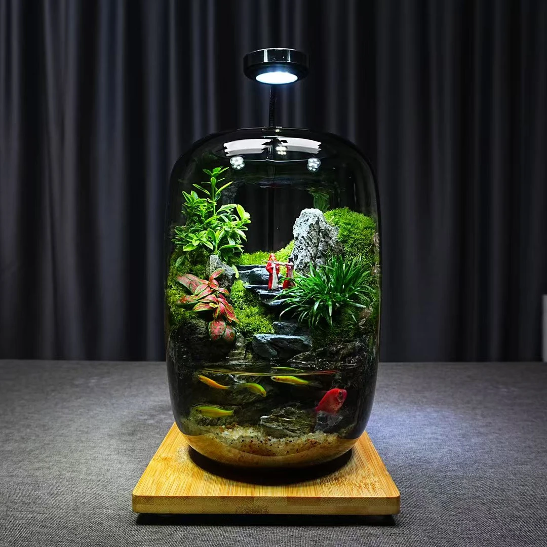 青苔壹品【月光宝盒】桌面绿植微景观创意造景可养鱼成品室内摆件