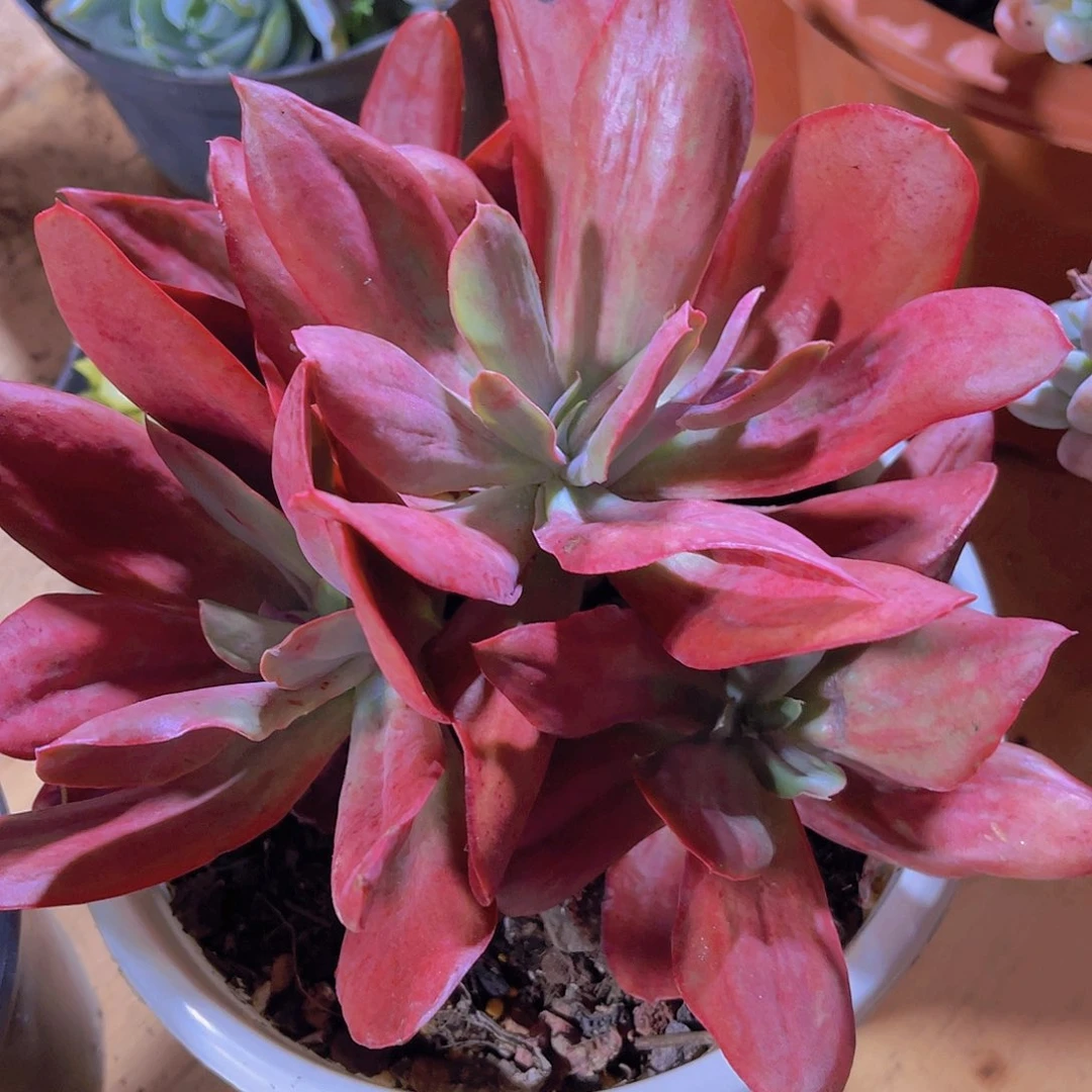 无**生000000000000416