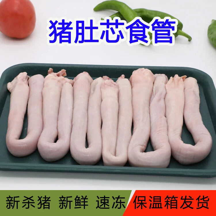 新鲜猪肚头纯干无油红烧囱煮5斤饭店食材批发顺丰包邮坏损包赔