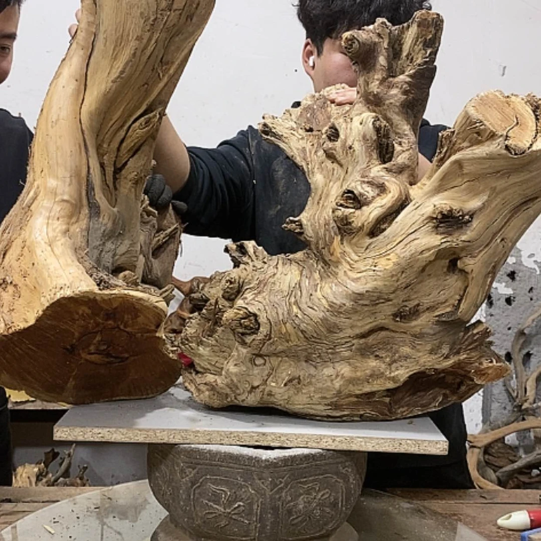 【闪购商品】柏木乐*我们的目标就是让自己