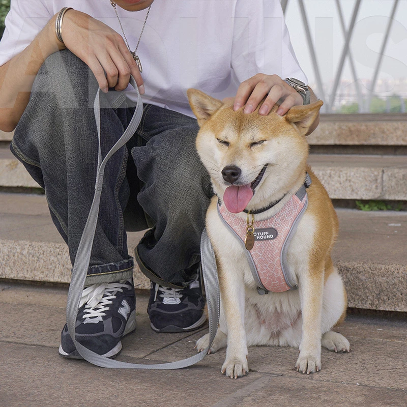 TUFFHOUND【清仓】萌宠好物牵引绳中大型犬遛狗绳轻便透气胸背带