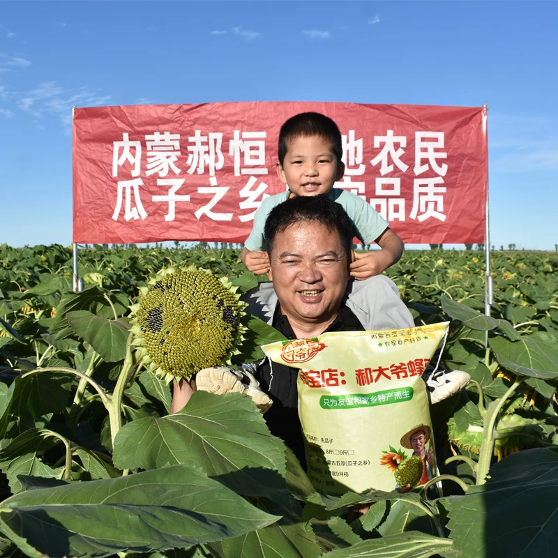 内蒙古五原生葵花籽特大颗粒新货363精品原产地无添加瓜子3斤包邮