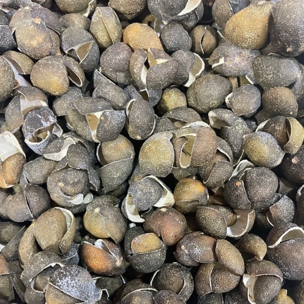 【灯纸青】三花青小青皮泡茶煮水（2罐）
