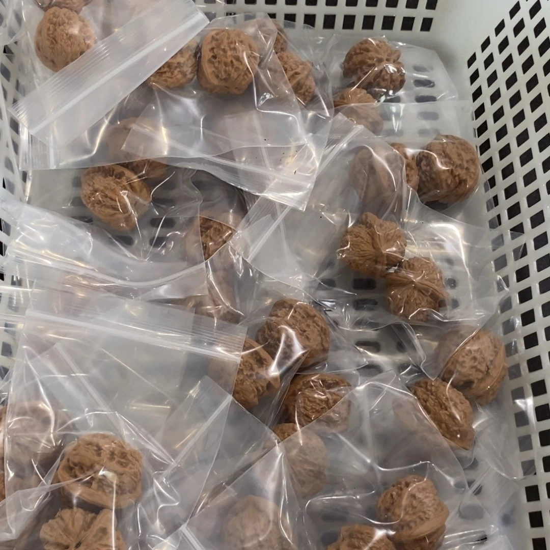 文玩核桃吊坠蚂蚁沟