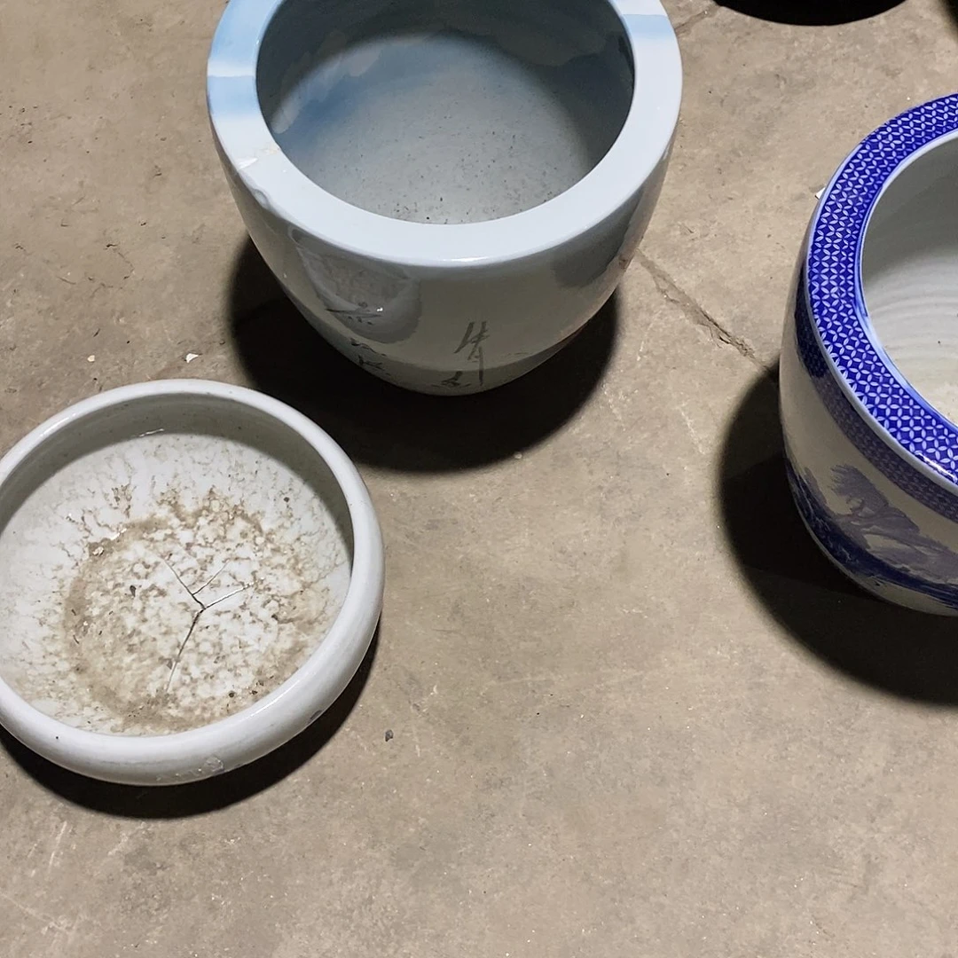 景德镇陶瓷鱼缸艺术