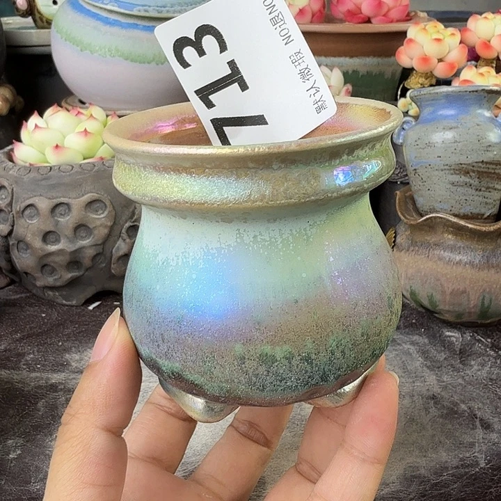 重庆小燕子欢迎大家713
