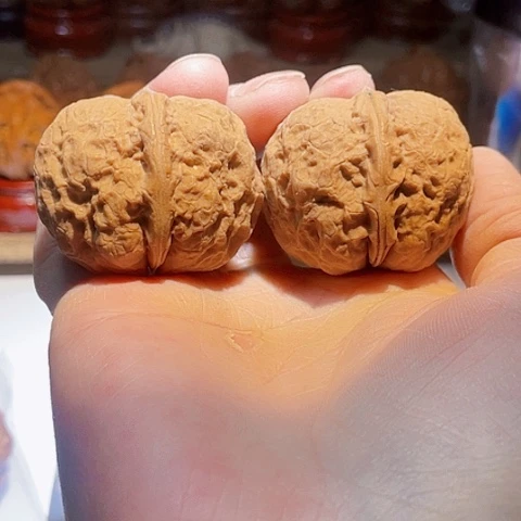 文玩核桃把件至尊元宝带彩42