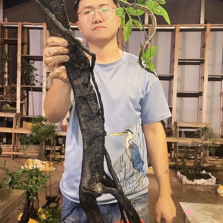 寂***漠无花朵等回家就好比附近吧