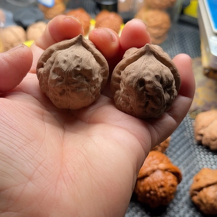 把件桃核全品三角蝉边37肚38