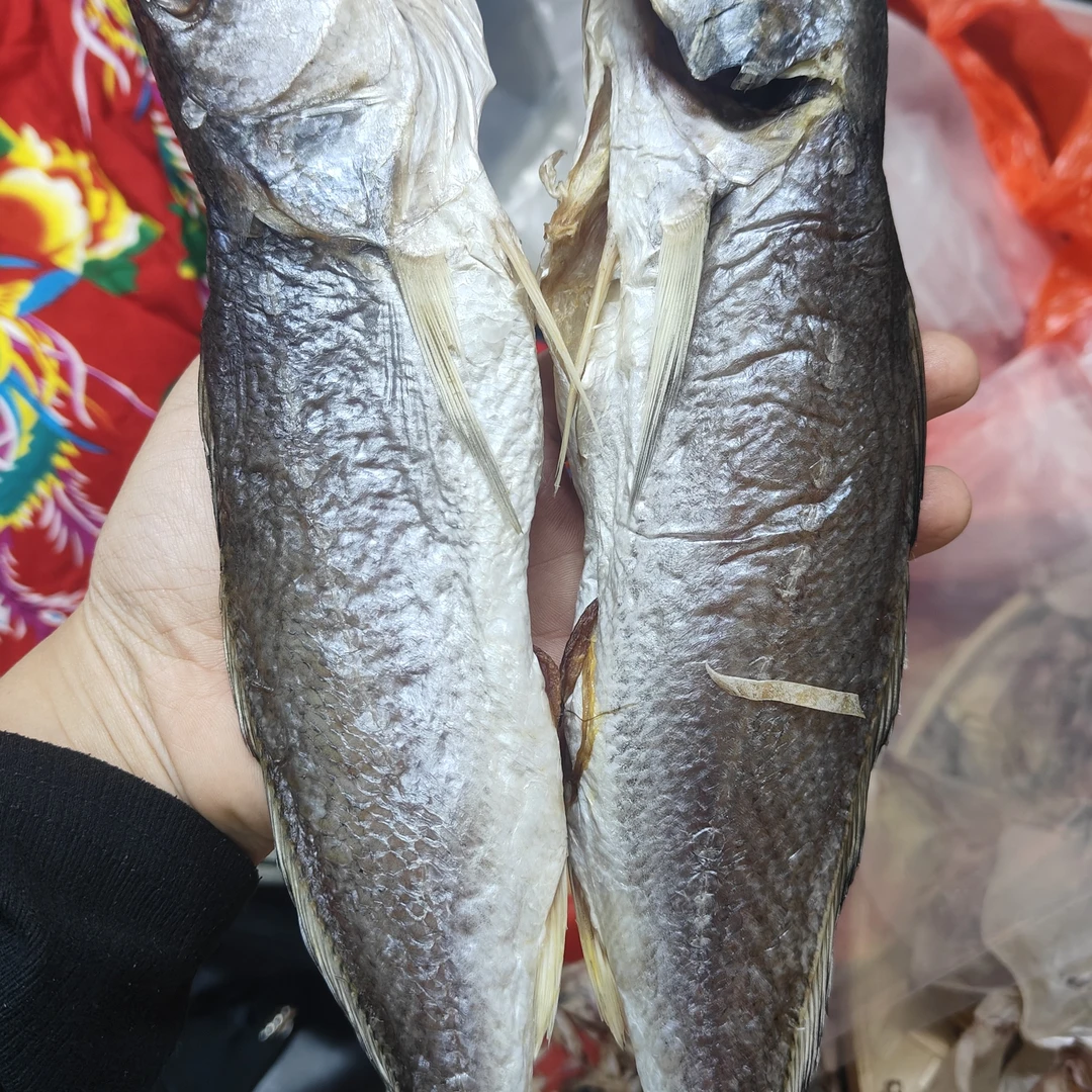广东汕尾港三牙越鱼干咸鱼蒸煎微咸美味可口包邮海味干货8成半干