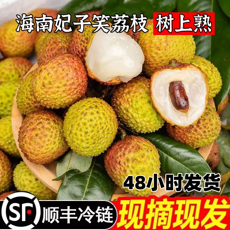 顺丰冷链I海南妃子笑荔枝1/2.5/4.5斤当季时令新鲜水果园采摘包邮