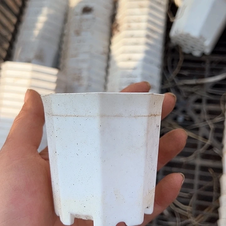 塑料口径7厘米八角盆一组40个