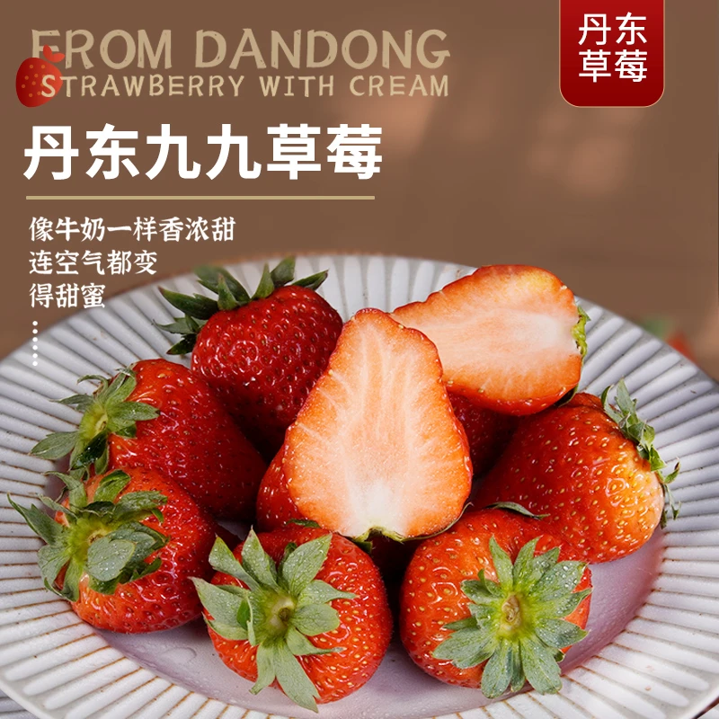 辽宁丹东草莓新鲜采摘次日发货丹东99大草莓个大色泽红润鲜甜