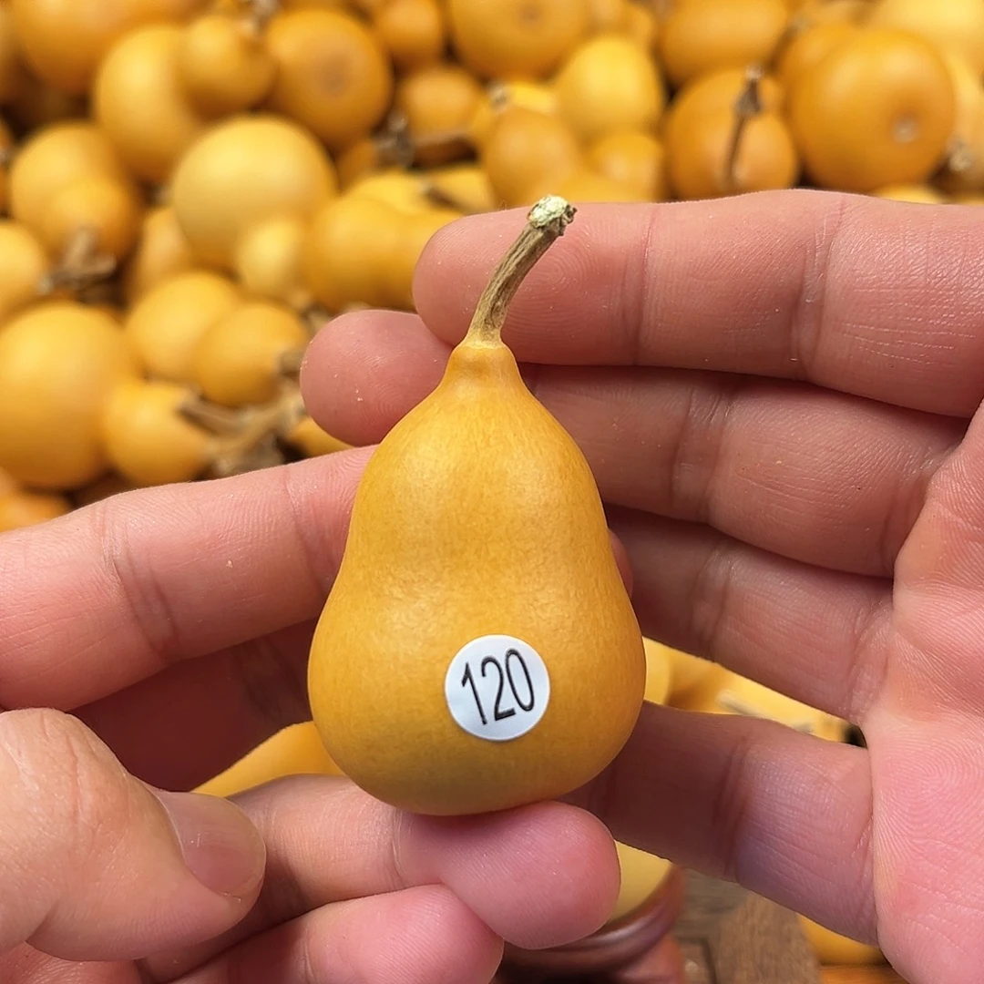 五葫芦葫芦葫芦葫芦120