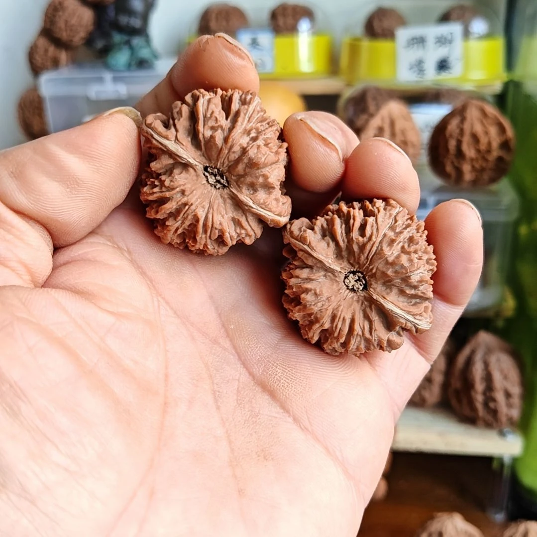 40尺寸头货137狮子头