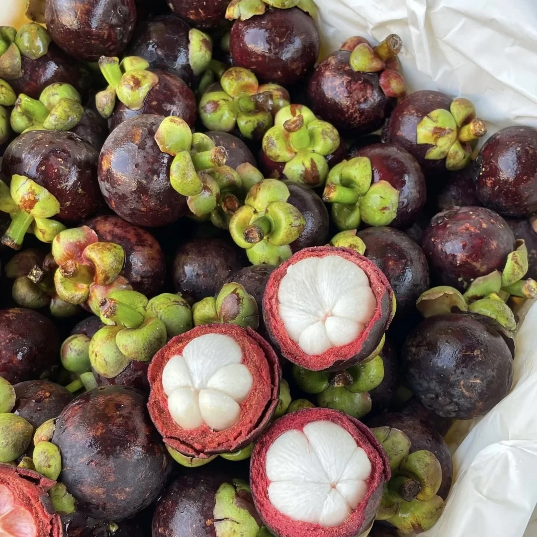 【泰国绿叶4A山竹】 500克起