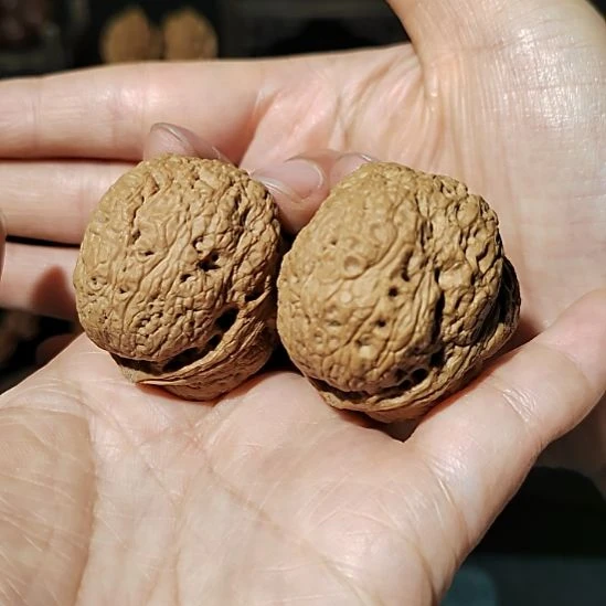 文玩核桃把件四方蟾42尺