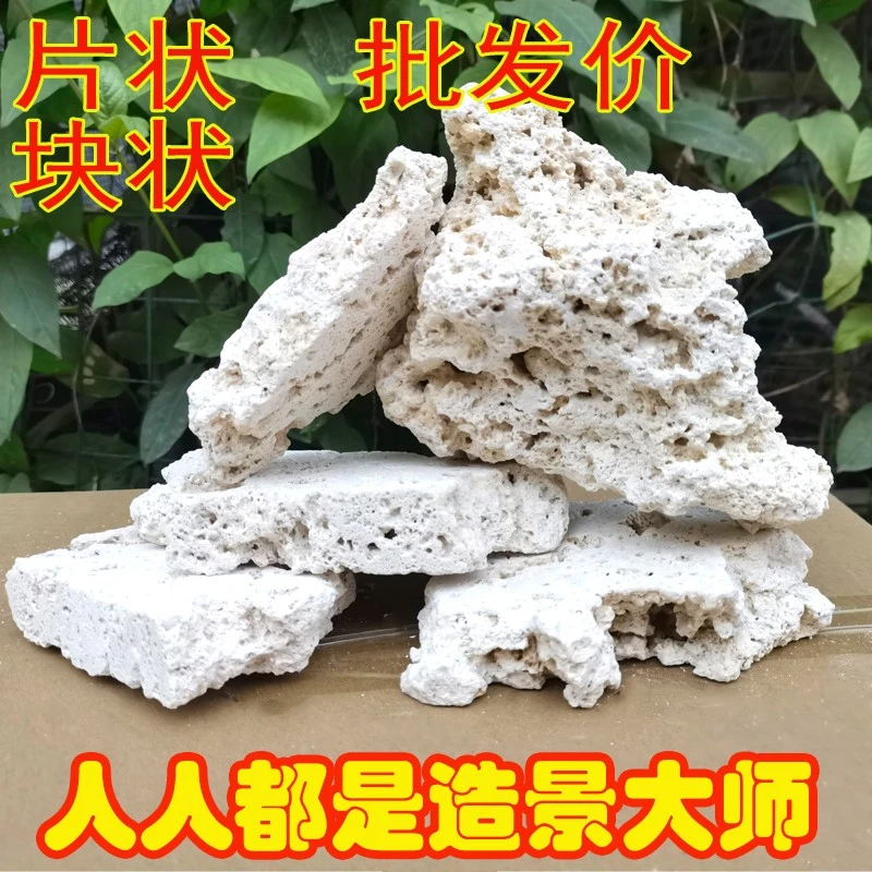 印尼爪哇石海鱼缸造景活石片状天然干岩免爆藻死石培菌珊瑚缸造景