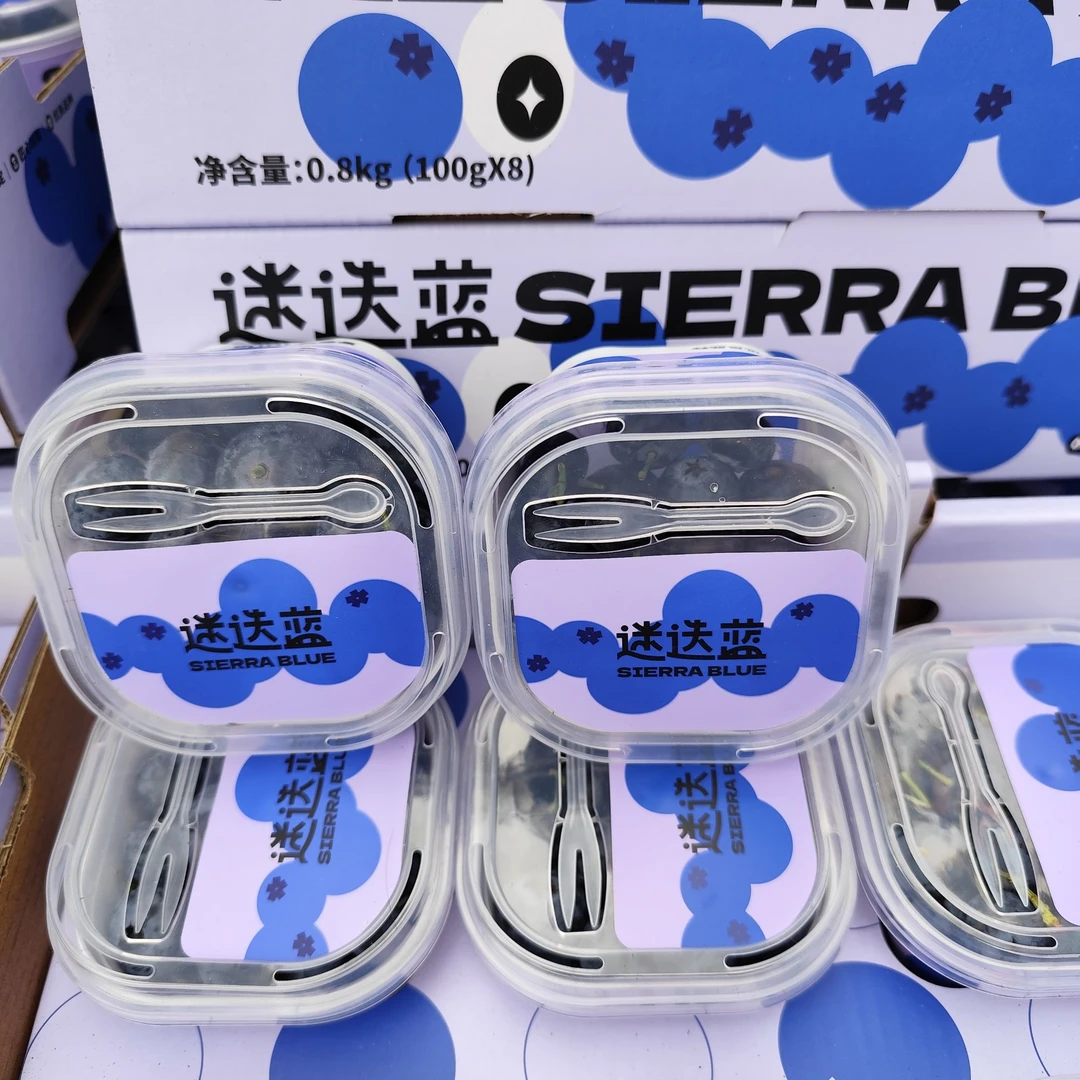 DB【陈氏阳光】云南迷迭蓝蓝莓当季新鲜水果8盒装18mm*100g顺丰包邮次日达云南蓝莓云南省昆明市