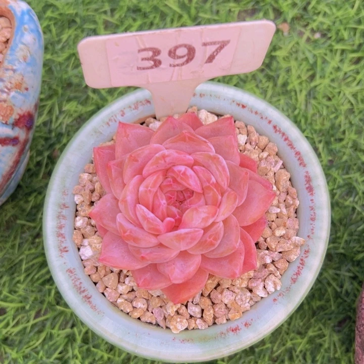 健健康康平平安安