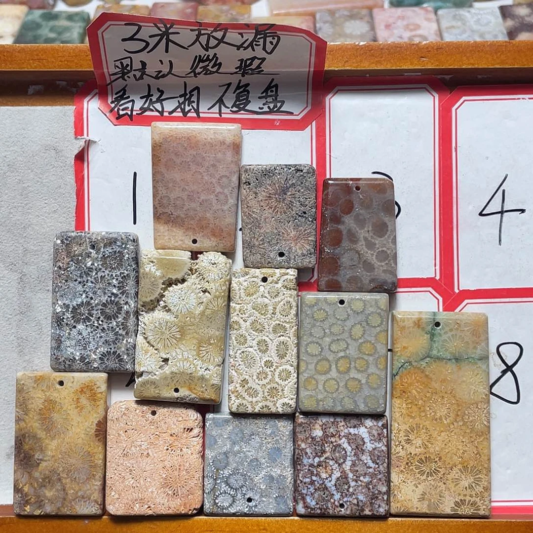 *****硅化珊瑚（珊瑚玉）合金颈饰