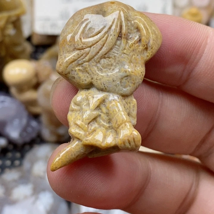 颈饰未镶嵌硅化珊瑚（珊瑚玉）独**?