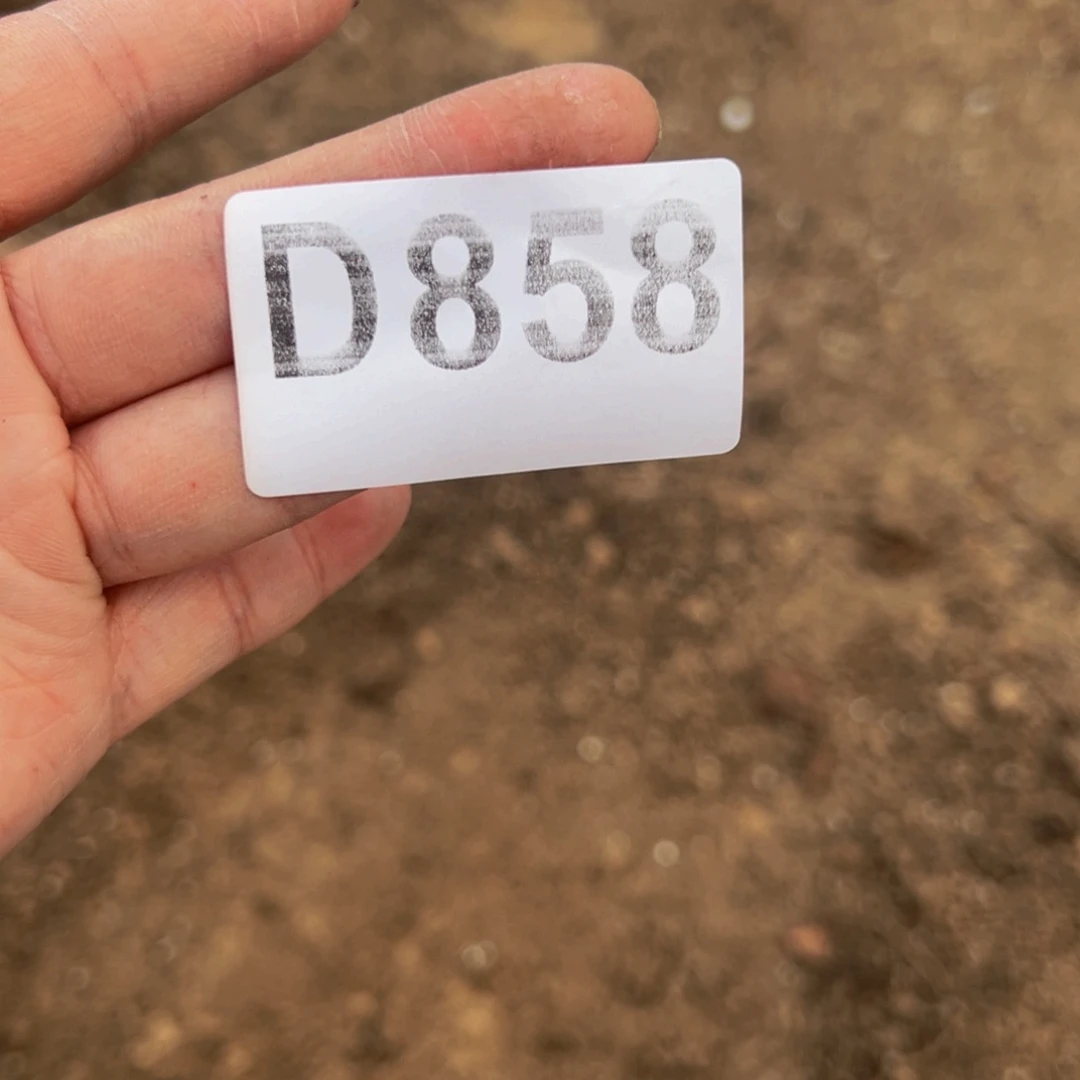 守***护无花朵换货不要幻纱858