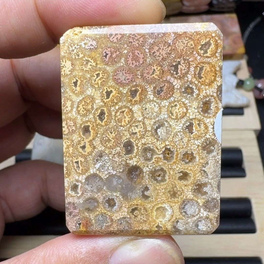 未镶嵌纯天然色有机玉石保真色硅化玉