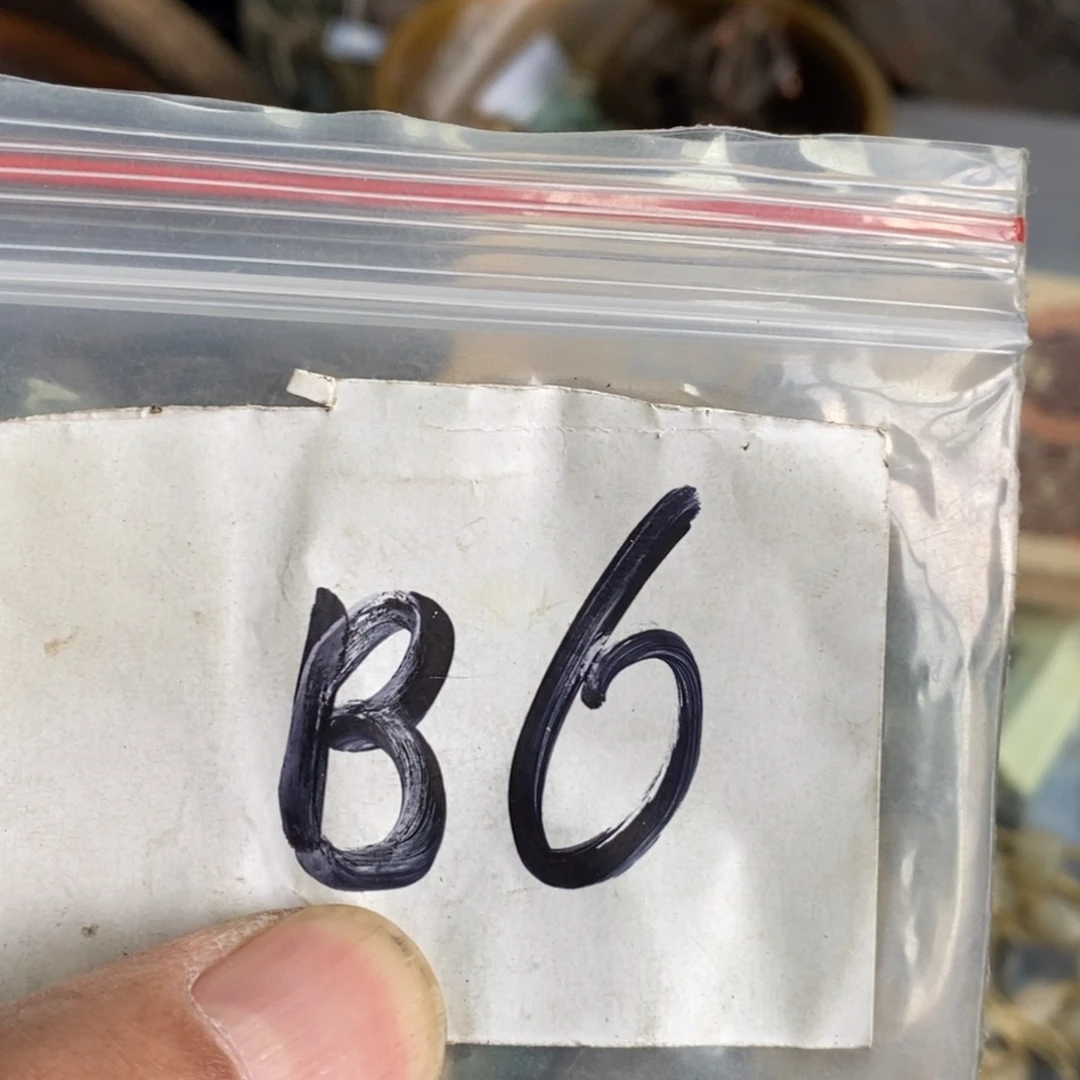 吊坠龙脊菩提德宝直播间专项链接