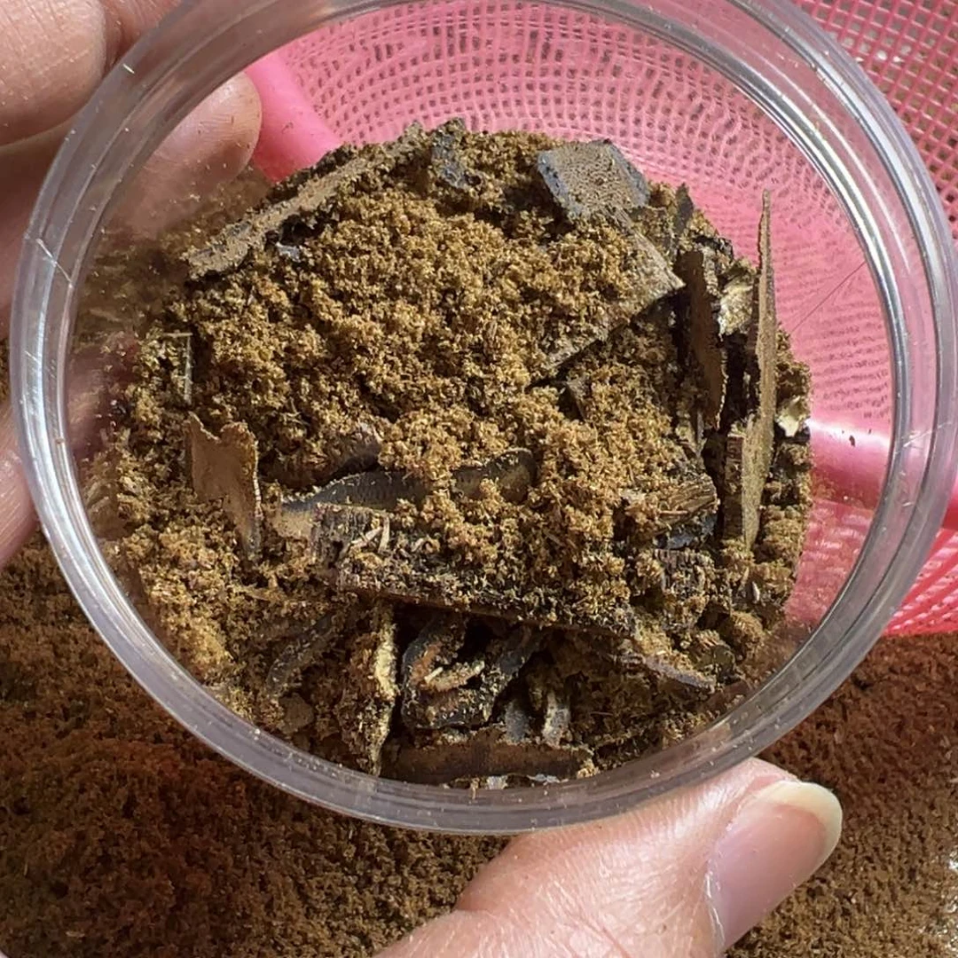 绿*高油脂海南产区汝湖品种边角料20克装