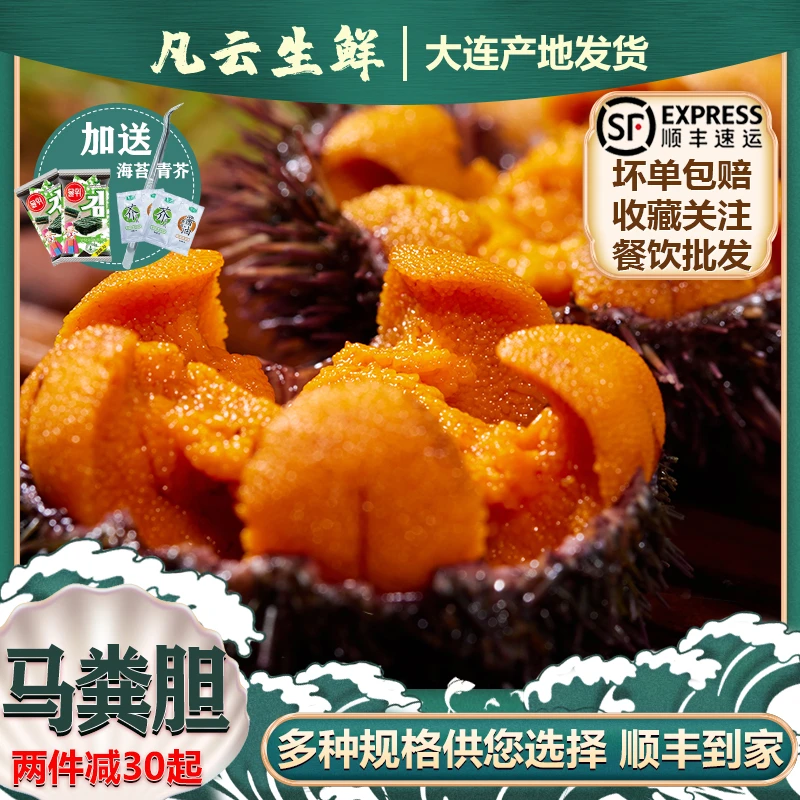 马粪海胆鲜活紫黄海胆肉新鲜即食日料刺身食材海鲜礼盒大连海鲜
