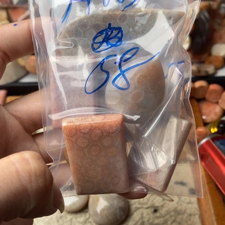 k***y颈饰未镶嵌硅化珊瑚（珊瑚玉）