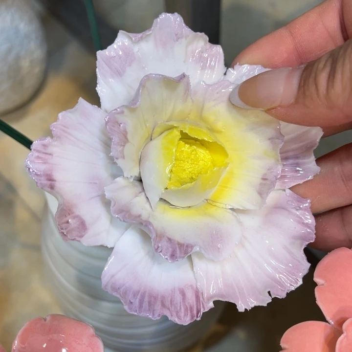 瓷片555555558888888855