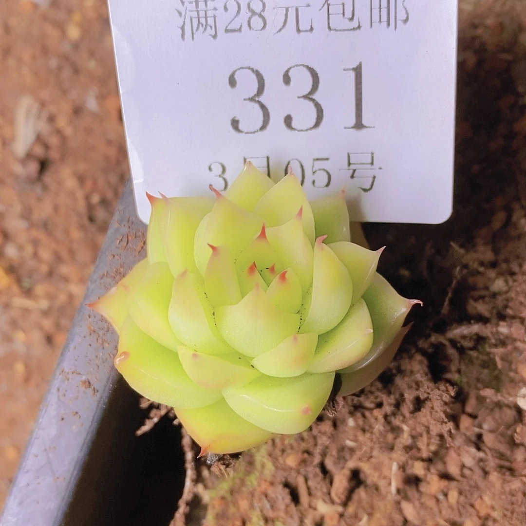 【闪购商品】T****2云331