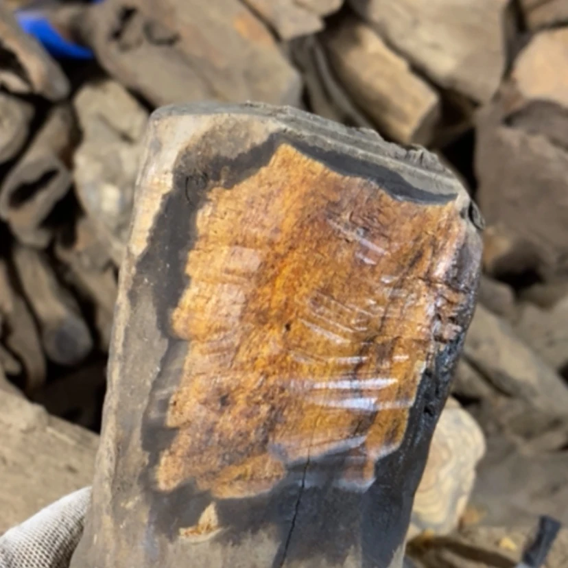 【闪购商品】贡木手串꧁****꧂私人订制