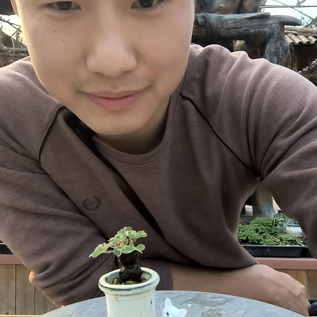 安*小盆景小植物一物一拍231