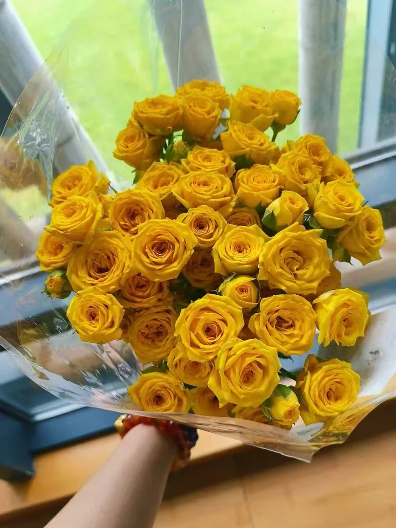 【买一送一】小头切诺基泡泡10支 多头玫瑰  云南基地鲜花直发