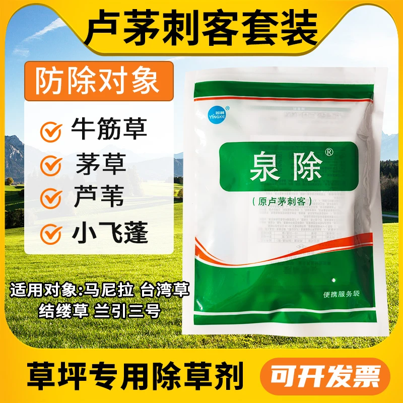 泉除原卢茅刺客百慕大马尼拉台湾草兰引三号草坪专用防除芦苇茅草