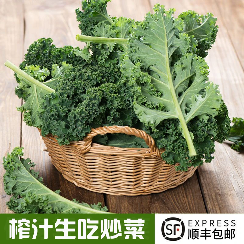 新鲜羽衣甘蓝嫩叶蔬菜沙拉健身食材山东寿光直供现摘现发顺丰包邮