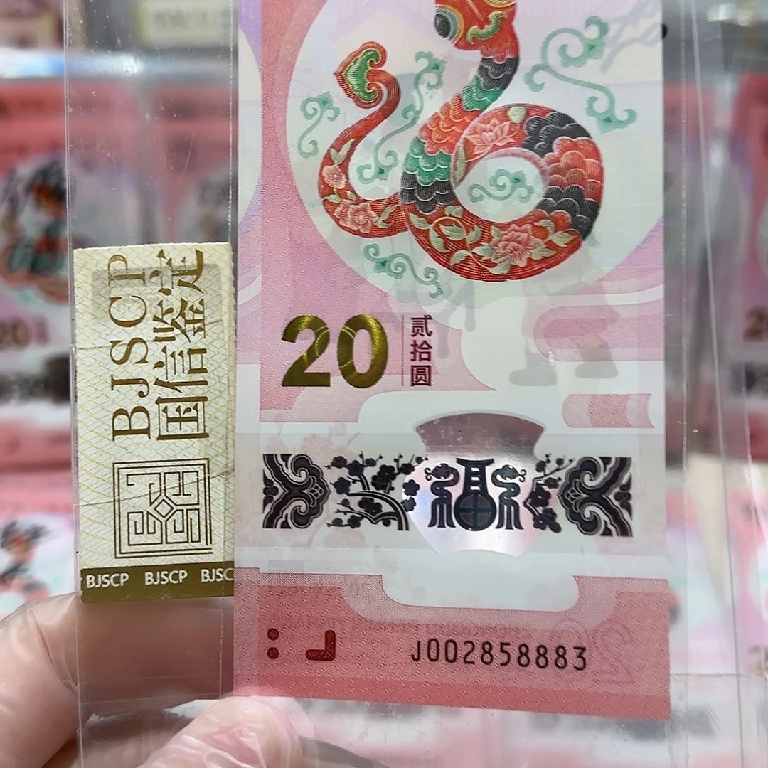 纸002858883。。。。。。。。。