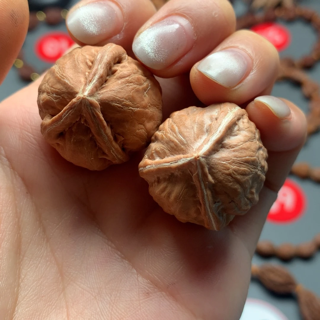 核桃96东北秋子色差