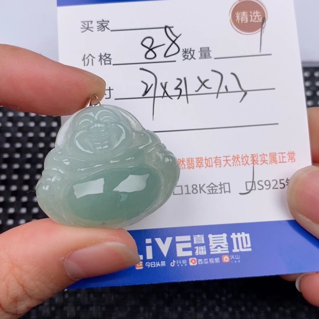 翡翠银S925镶嵌颈饰