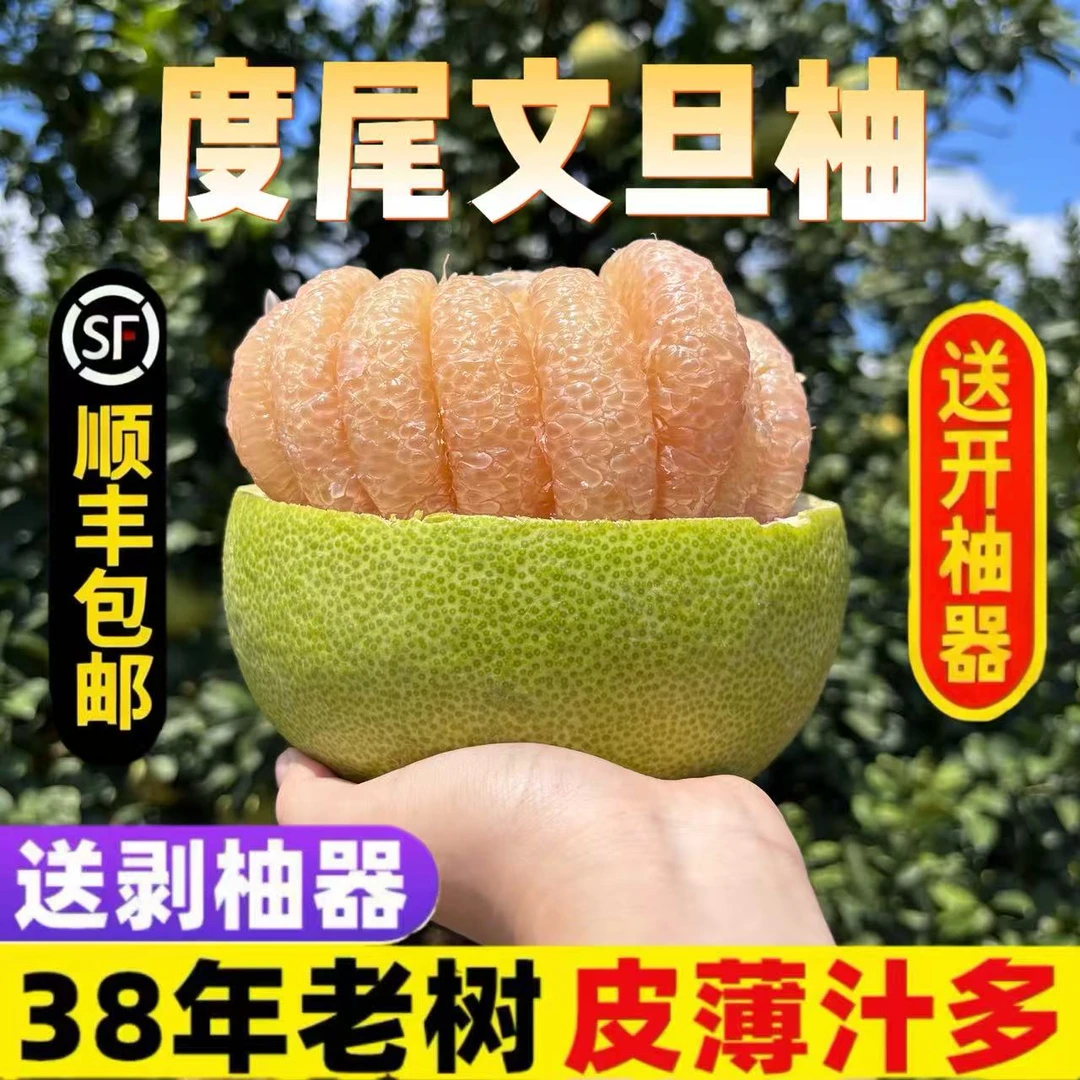 福建仙游度尾文旦柚老树红心新鲜应季孕妇水果酸甜多汁